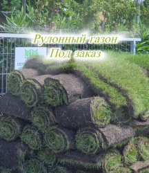 рулонгаз