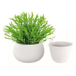Splofy_Bowl_DKSP370 белый