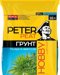 фикус 10л