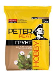 суккул 5