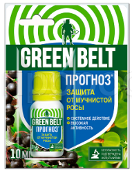 прогноз