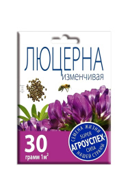 люцерна