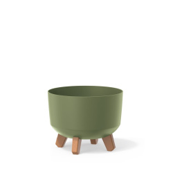 Gracia_Standard_DGRL240_5615C
