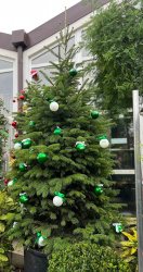 Изображение WhatsApp 2023-12-12 в 09.15.07_757224bb