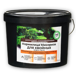 микориза хвойные