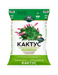 кактус 2,5л_D01