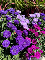 photo_2025-08-02_13-09-05