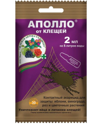 аполло