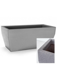 NF-00015169