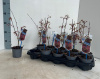 53bbb2ee-31ba-4490-8895-328ab17fd466