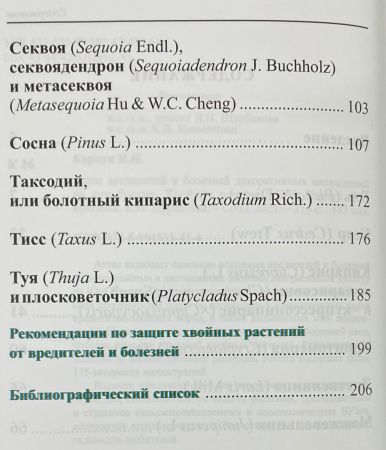 Содержание хвойные 1